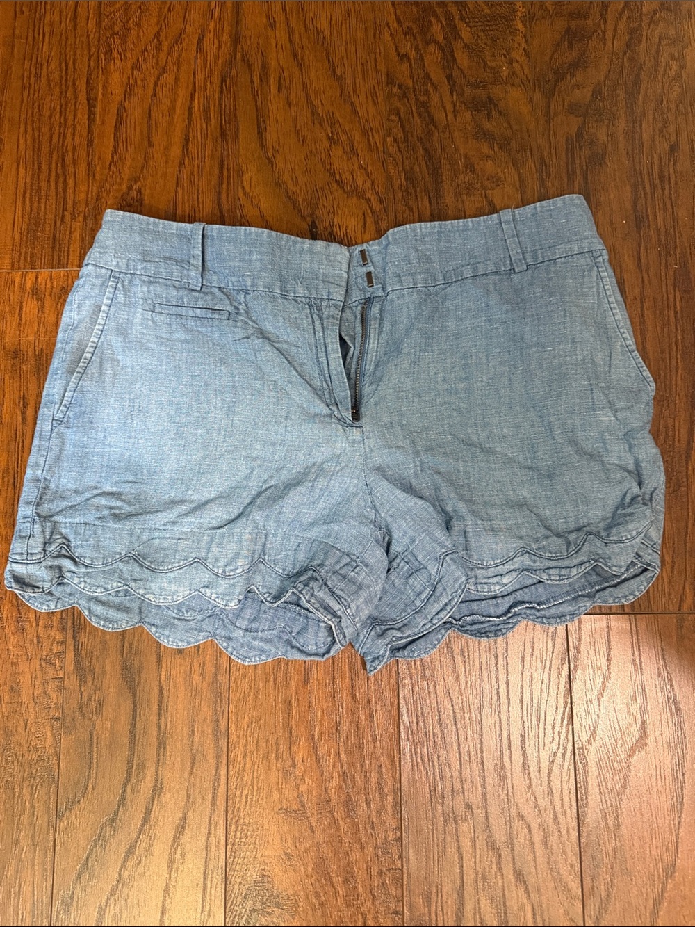 Loft Light Blue Scallop Hem Women's Shorts
